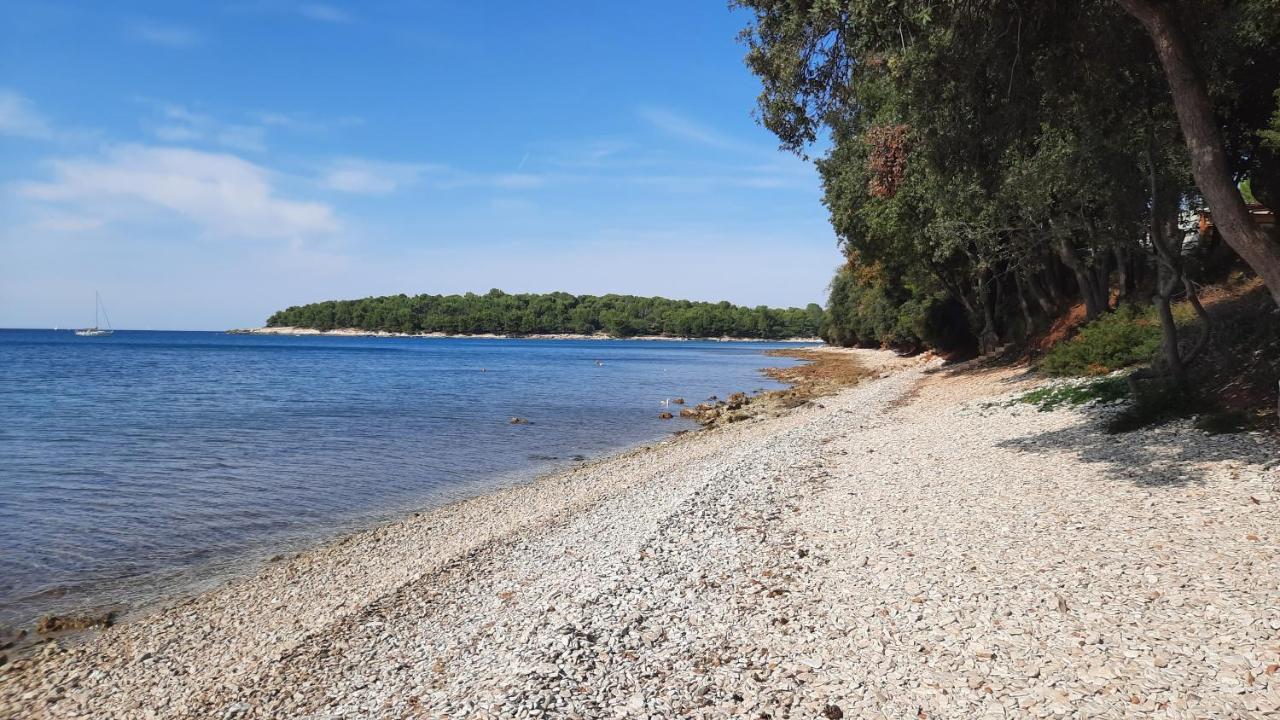 Vito & Maria Eco Friendly Accommodation بنجول المظهر الخارجي الصورة